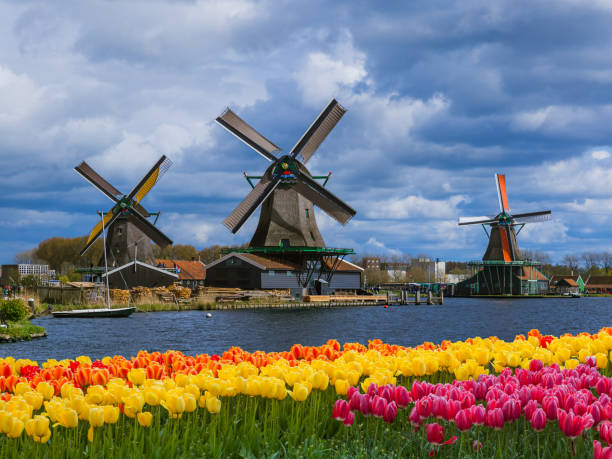 Holland Tulip Festival